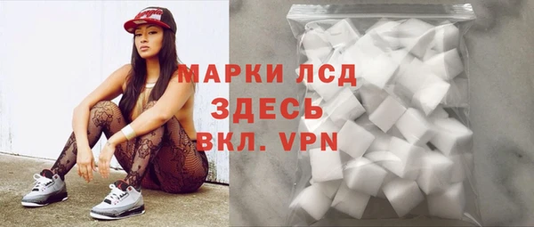 шишки Ельня