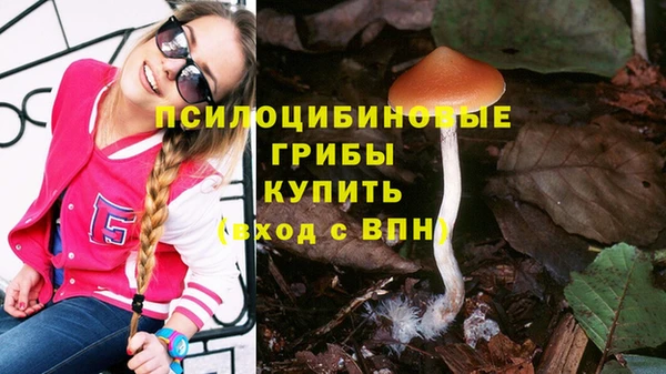 марки lsd Елизово