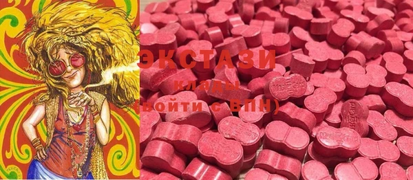 шишки Ельня