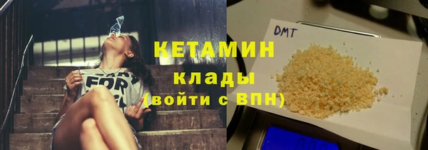 шишки Ельня