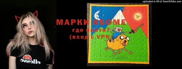 шишки Ельня