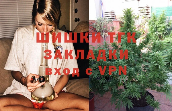 шишки Ельня