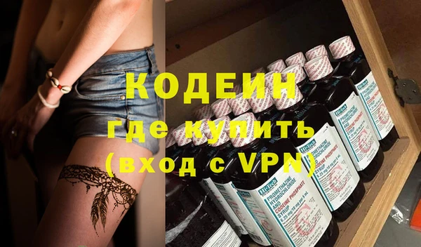 шишки Ельня