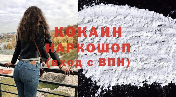 шишки Ельня