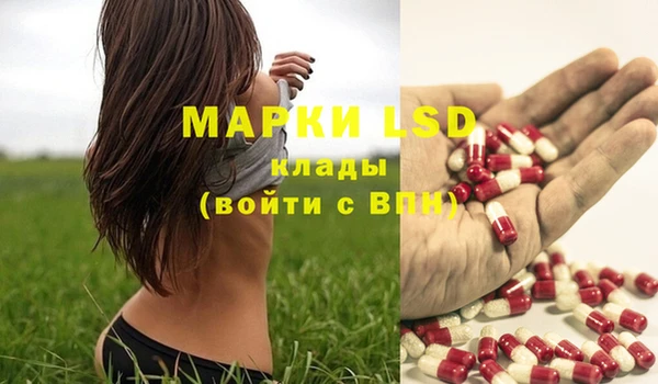 шишки Ельня