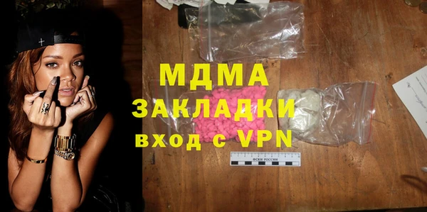 шишки Ельня