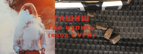 шишки Ельня