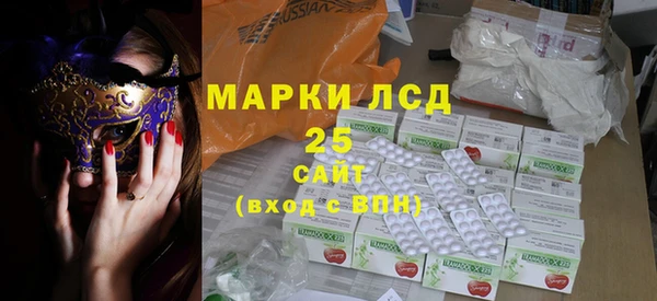шишки Ельня