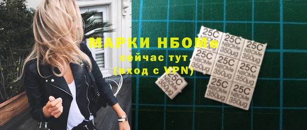 шишки Ельня