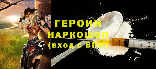 шишки Ельня