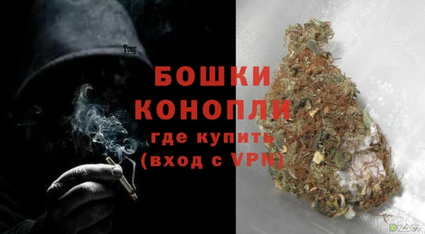 шишки Ельня